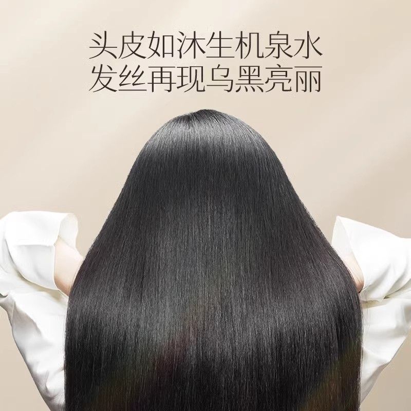 Sampo Air Beras Changfa Xiaozh - Hair Care With Rice Water ulasan dan harga